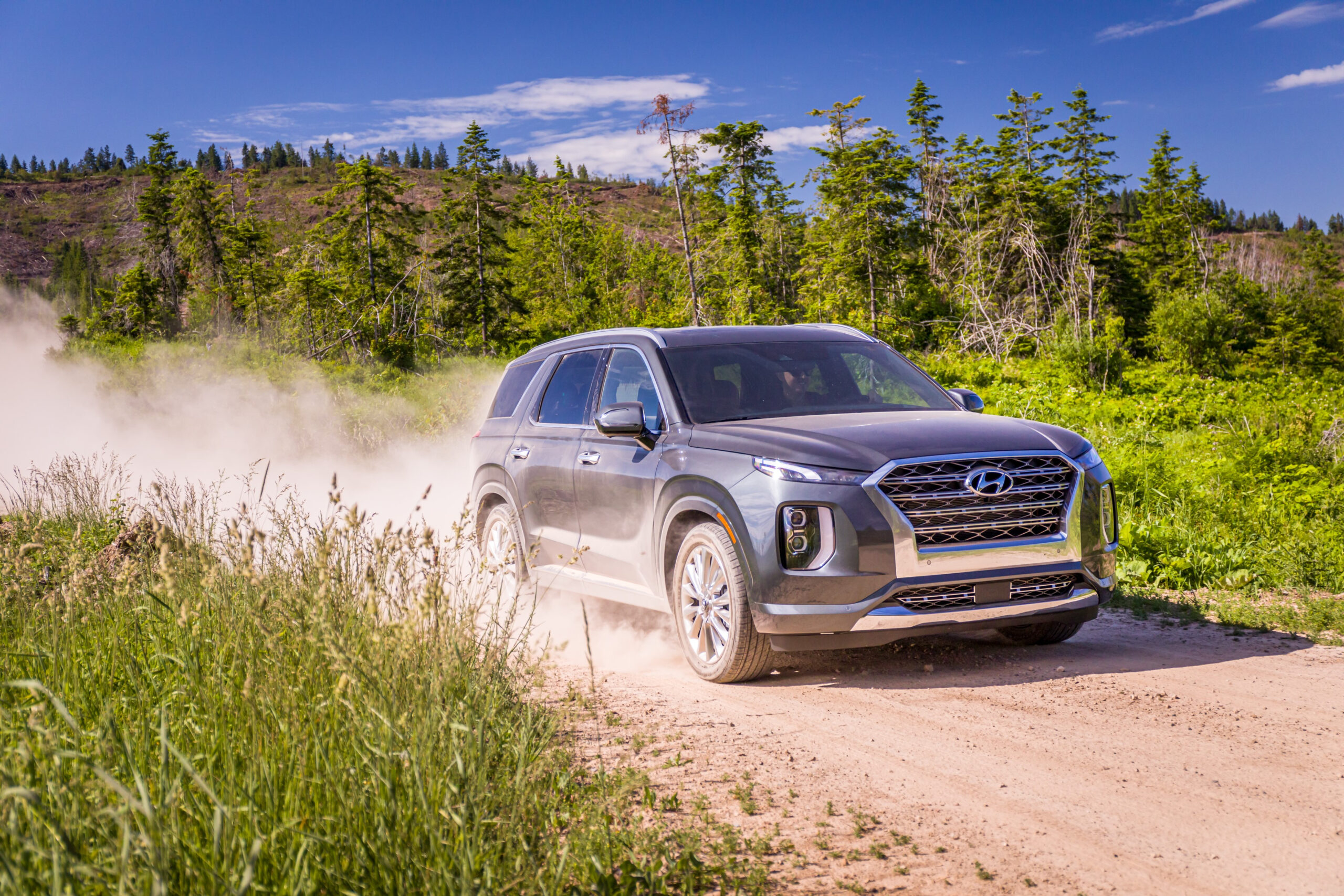 2020 Hyundai Palisade GasRebate