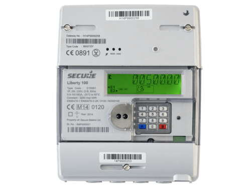 Secure Liberty Eg4v10 Gas Meter Reading