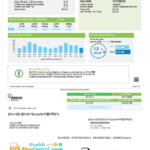 USA Ameren Missouri Electricity Utility Bill Template In Word And PDF