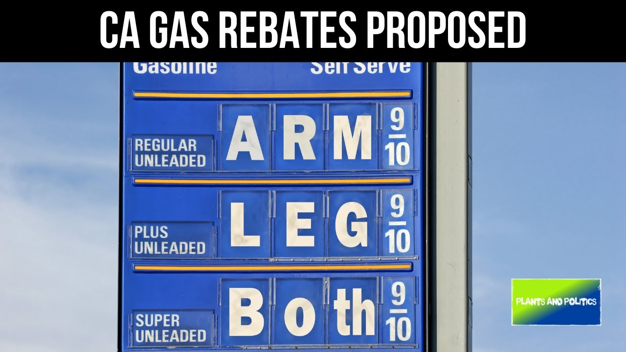 CA Gas Rebates Proposals YouTube