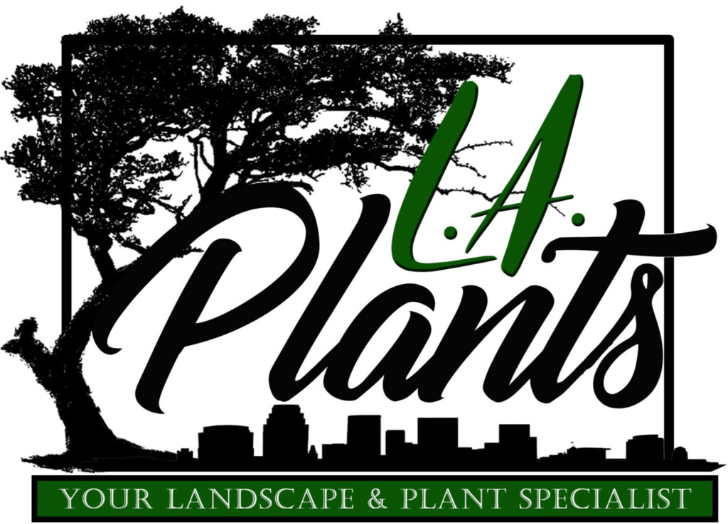 LADWP Rebate L A Plants