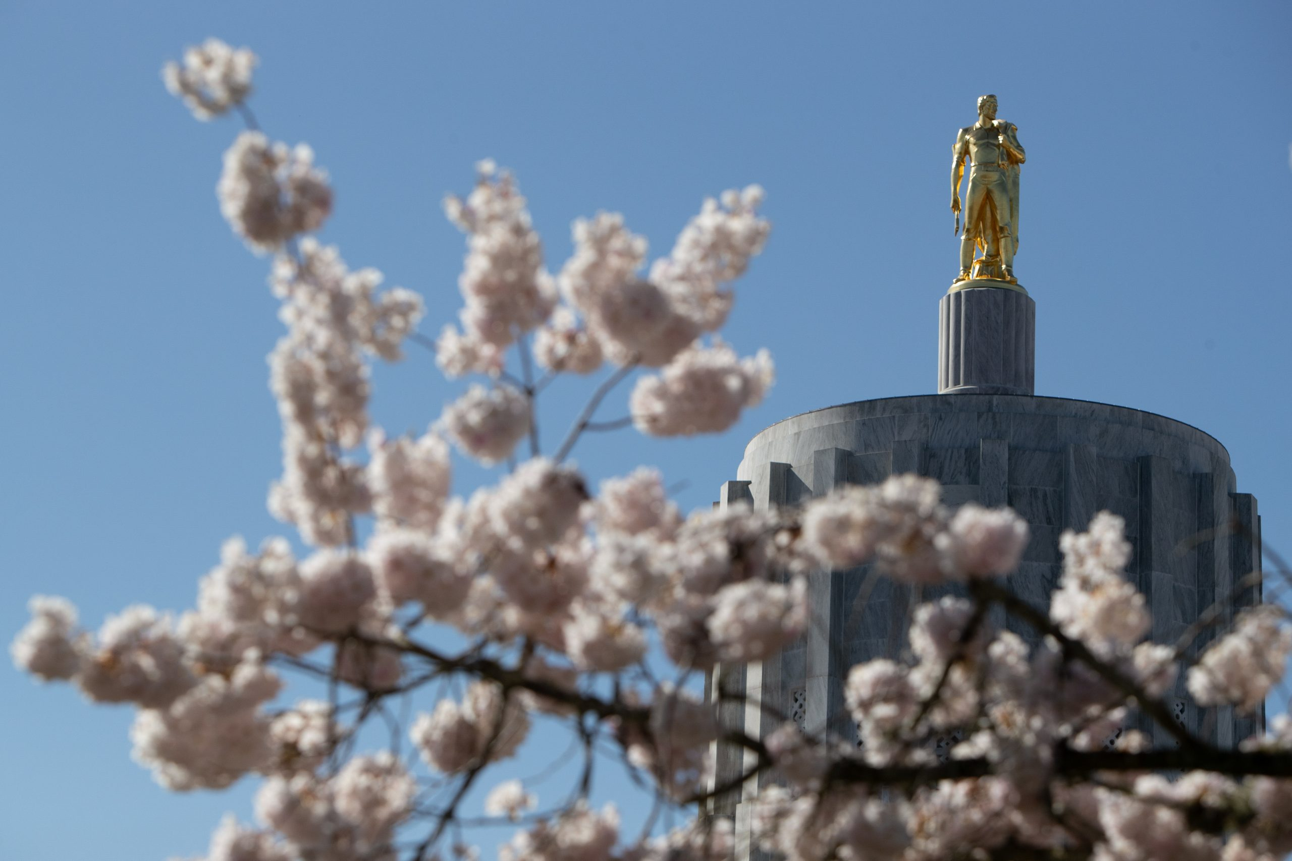 Oregon Economic Forecast More Money For Legislature To Spend Bigger 