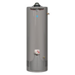 Rheem Performance Platinum 50 Gal Tall 12 Year 36 000 BTU ENERGY STAR