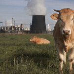 Study Meat And Dairy Produce More Greenhouse Gases Than You Think