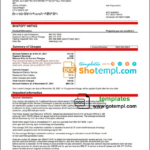 USA Michigan DTE Energy Utility Bill Template In Word And PDF Format