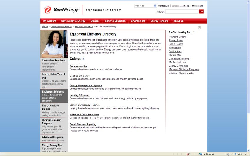 Xcel Energy s Commercial Industrial Energy Efficiency Programs 